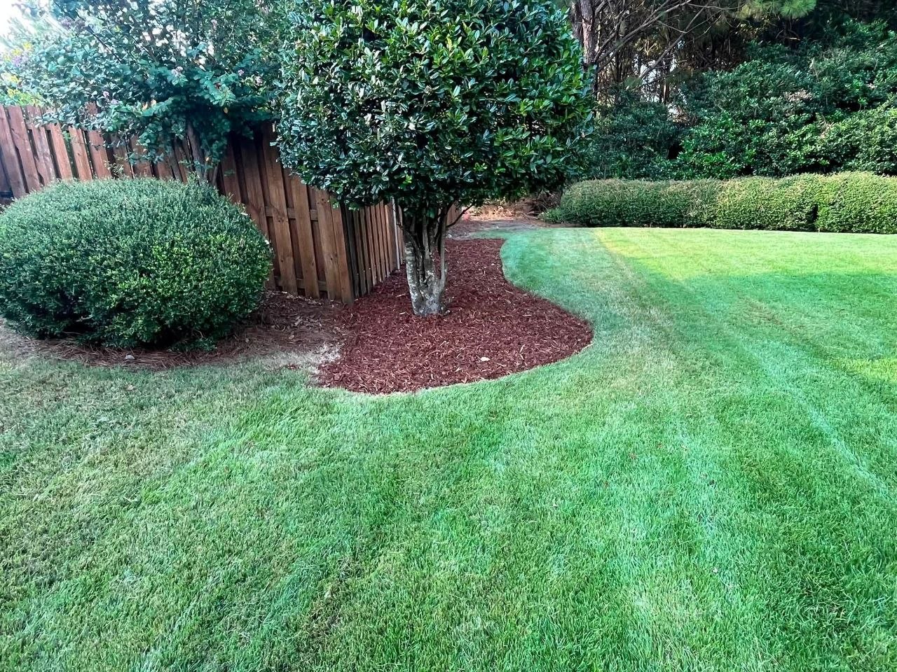 Jeb's Landscape Project
