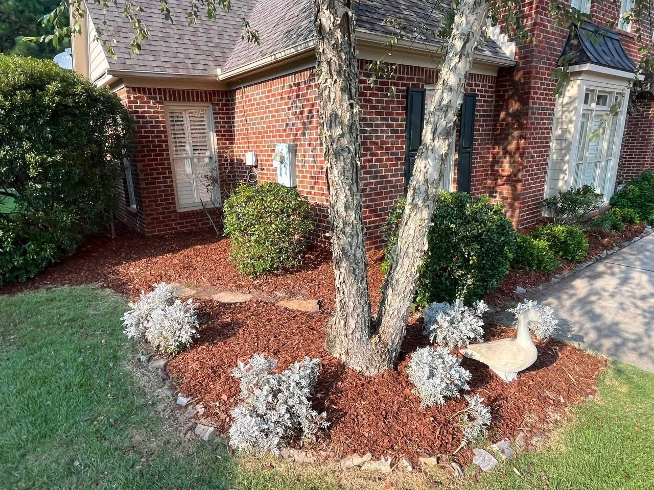 Jeb's Landscape Project