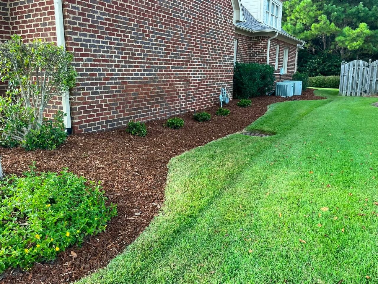 Jeb's Landscape Project