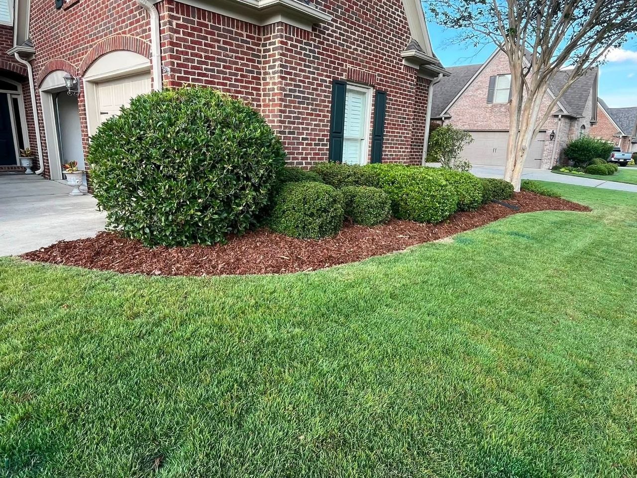 Jeb's Landscape Project
